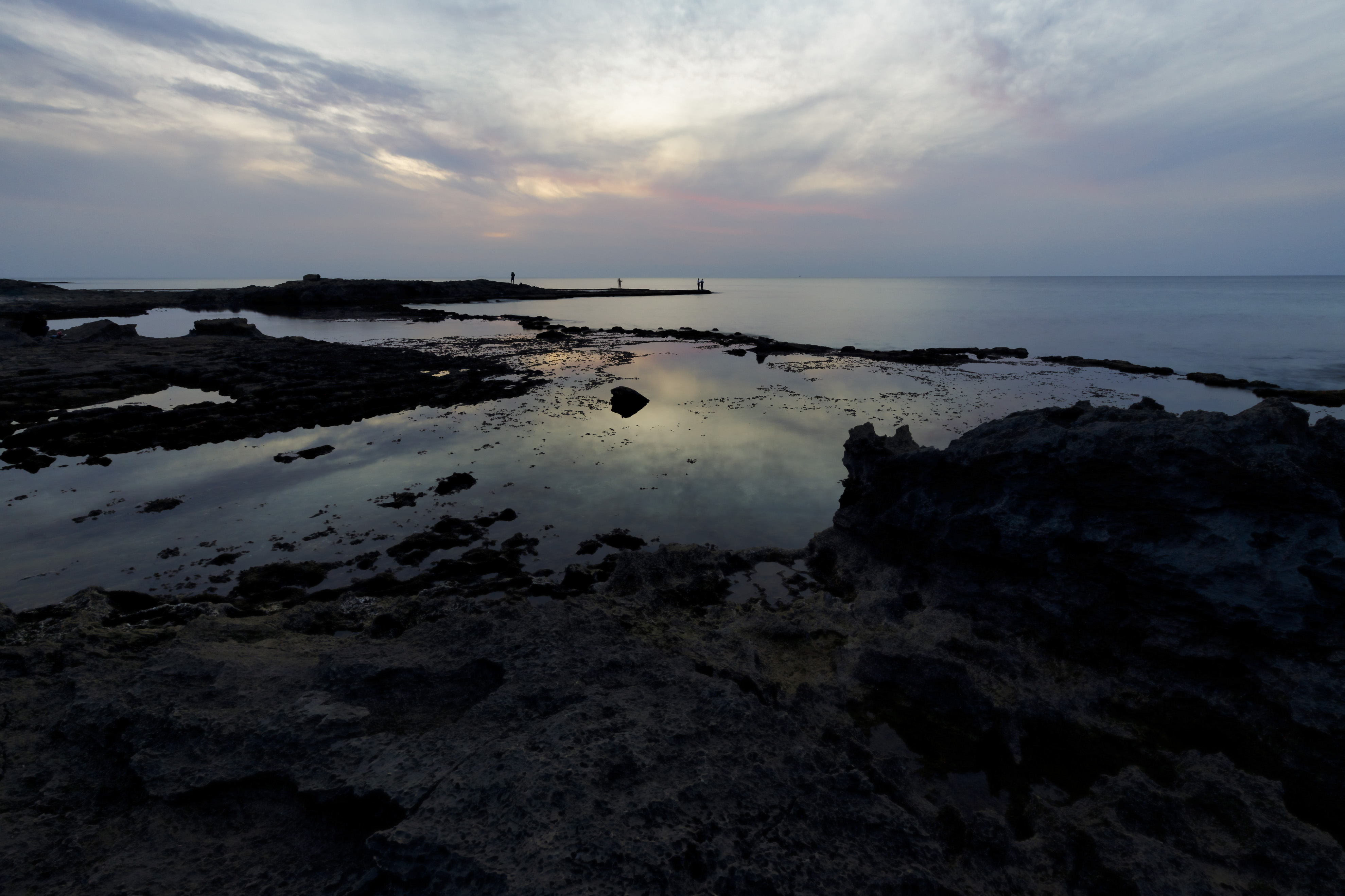 20201204-December 04, 2020-165324-165324-Edit.jpg